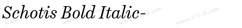 Schotis Bold Italic字体转换